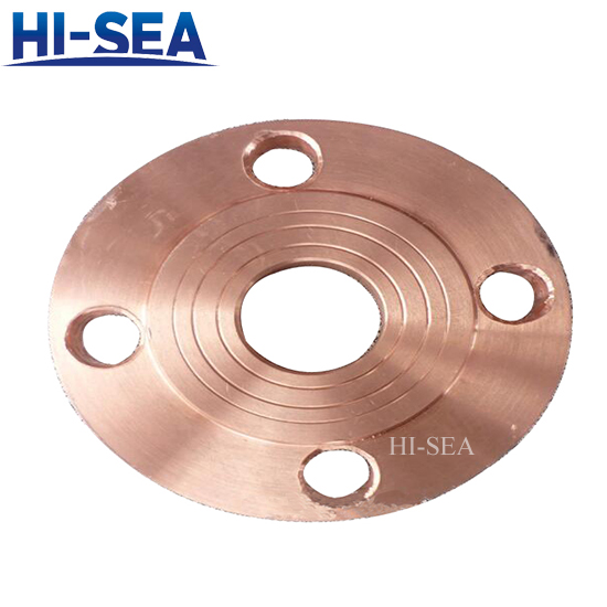 Solid Blind Flange 